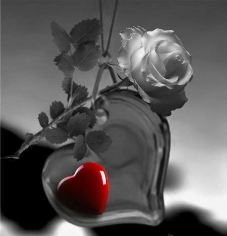 -f_2wRTQCdmRajATbcsyK7eH2jqdtl8S9Byu23av