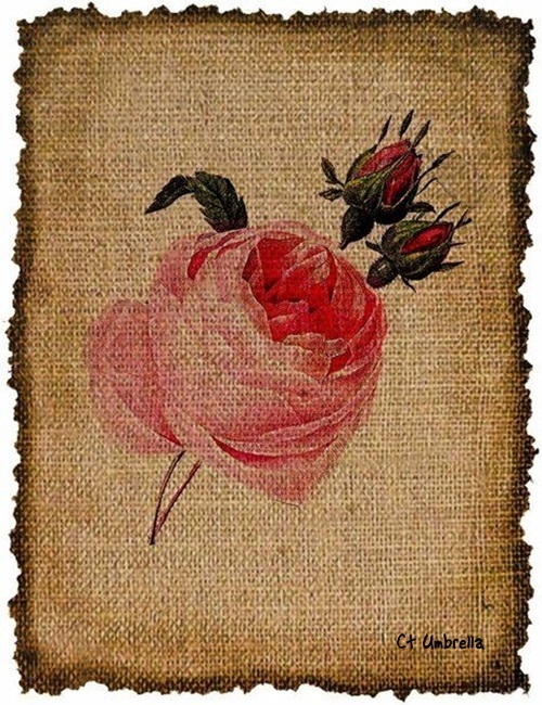 C8mEJTCjyQxsYxkg7ECicIK61qHGYA3T7wrN3vpi