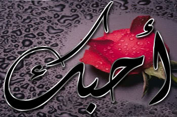 cuhw_X40nzcR-Rr3GGT5HaPiIZ8GNqTwRvBHFt-sphHRTDqBOh8Q5_UZJ1IDRwpq.jpg