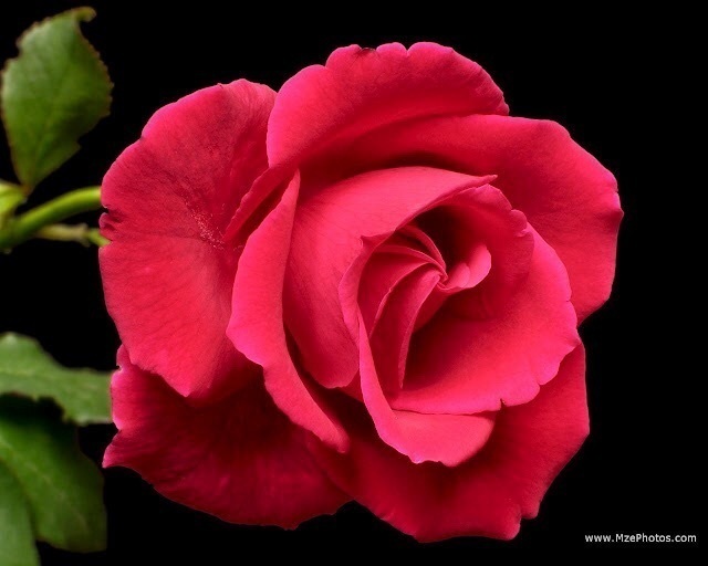 t8eqQBNcq4dHVNKEFI6jTPBi73PmZbtwj__jqsdu