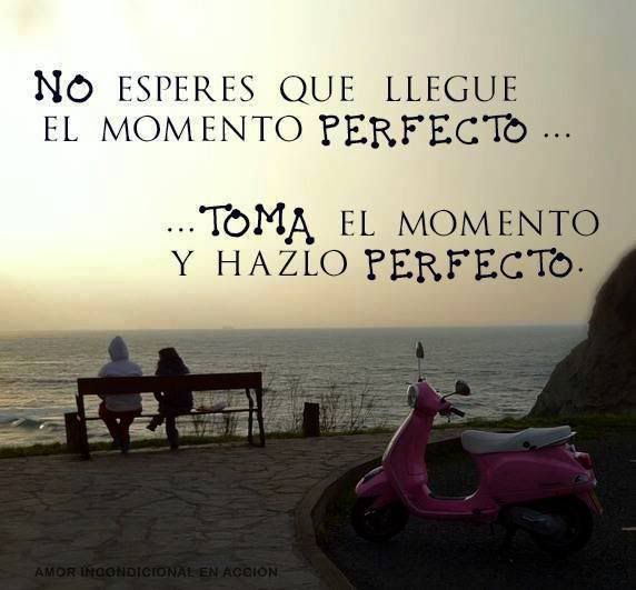 v9OSeMj4xrocnB8FPi7QhFbyWmFZ1hE7f1ip-pRq