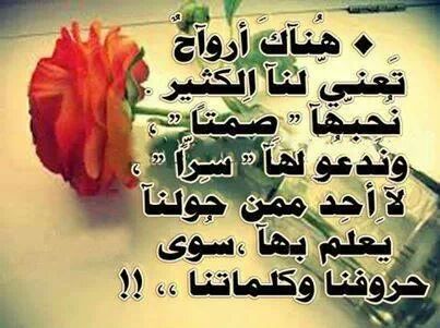 yA-k0mYPd0PnciD0rd9KS_7V7vRSre6anoA0wkyjmBUZl35sm6dSlQ==.jpg