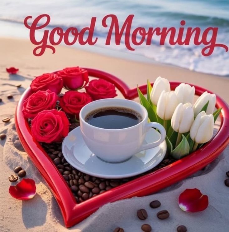 9628npSnP_vmauR8yLVjSEVRoWtFpw1QctlcrqM16TYPoI0mIWiujWFwQDtJq4L8.jpg