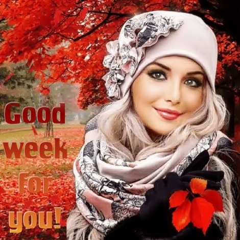 CFEObmP14NUx6GRDmt5RUjQNPE-lYagbQpfZ3ABpDAv78uT7UAJH5eIEwK_sudLM.jpg