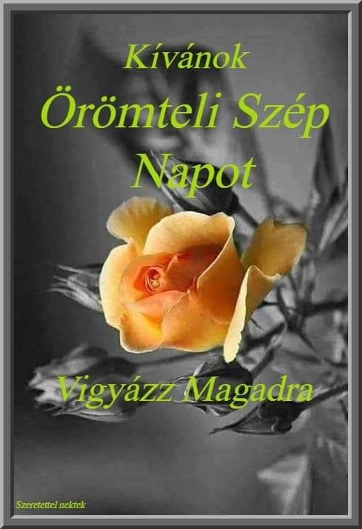 JjuG1TEupf8WFW-UjptZBaFJoTKNvAmIHbD4qHPmhUOVba7ns0FLfSlrdR3PsTLq.jpg