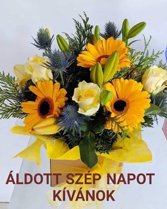 JjuG1TEupf8WFW-UjptZBewz673NADZ1XFxucEmwc6FvyANbkWtunBPEVfVDrh1V.jpg