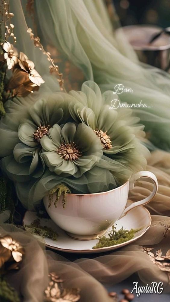 KN8I1tY3wHW7IOok-cU7oFzHD04AmtMtr2Uc2OQsdc4ffppoXIGGLlVoXTdvf1zW.jpg