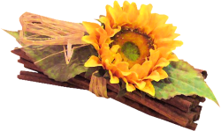Kw0R6abw7JJutwQvFlWoDa1UnQ0h0BBHdV5rR6bMnbNbyA4prfiq21-PpTO0U31B.png