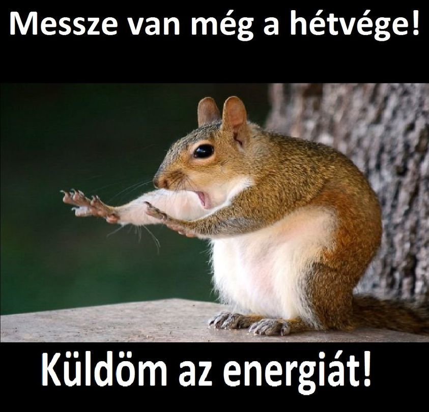N3-FF8LD8Xdgz27eGLVTJ2PYXu9II_pNvzz1YBCJqeiHViKAYpuNnTvONDciNB4z.jpg