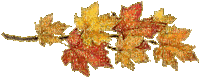 Zxo9RLA3OPnTN5j7jA9JsFAKncJM0VTwNI-dwdbtMiNwisNo8zyCXDx_XZj1C9O4.gif