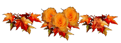 siMGjTXlEMDNOxJm9R_ncI0zcFOjPm-307t6iXlThPkZLqp3uCTs_W0GUcsSPULp.gif